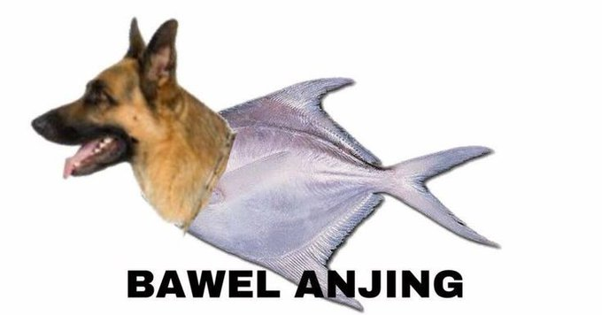 Eloweeeennnn (@b4rely) on Twitter photo 