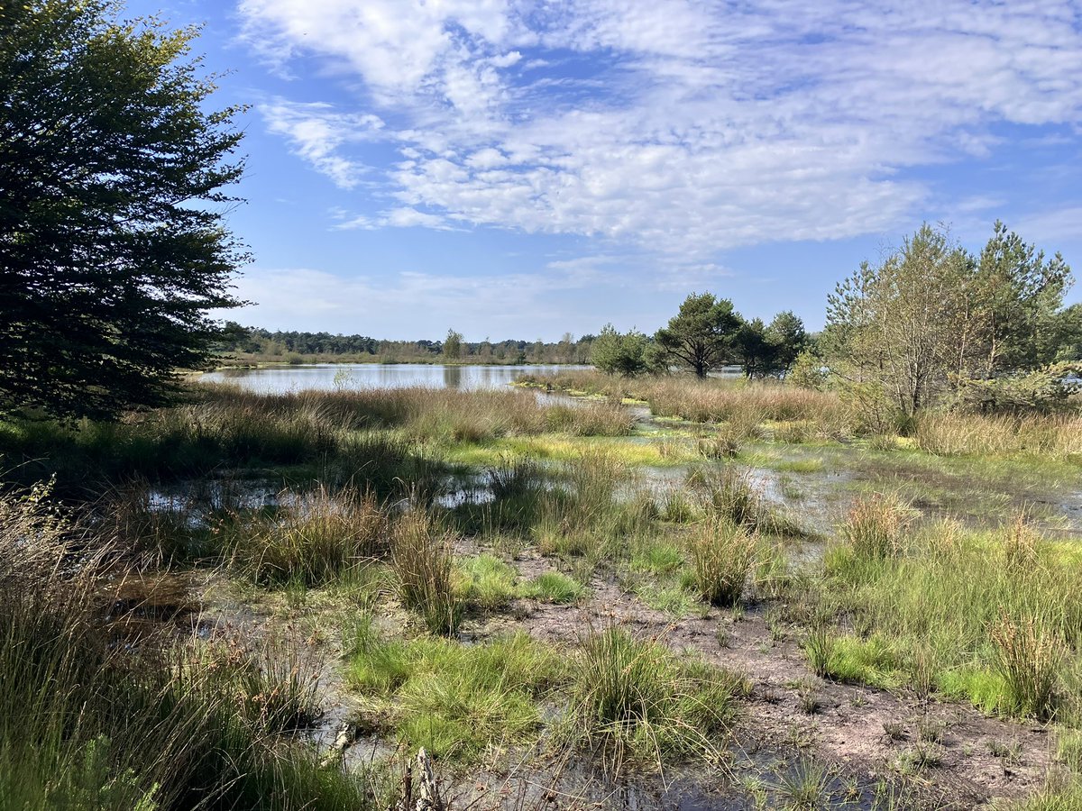 Erik Jan Bakker tweet media