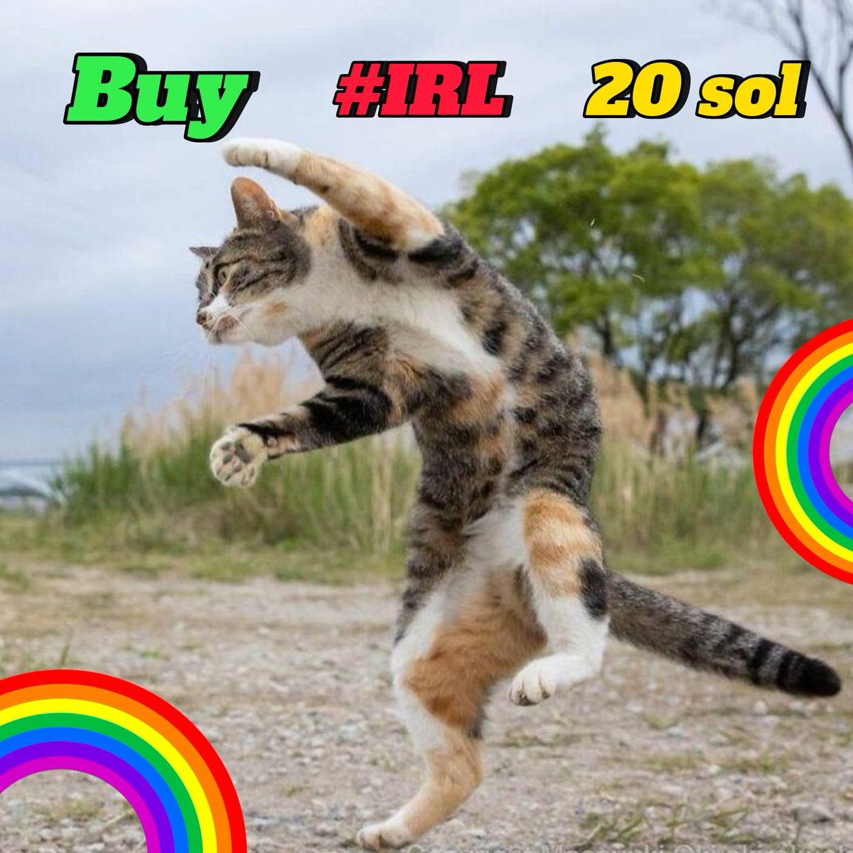 IRL on Solana tweet media