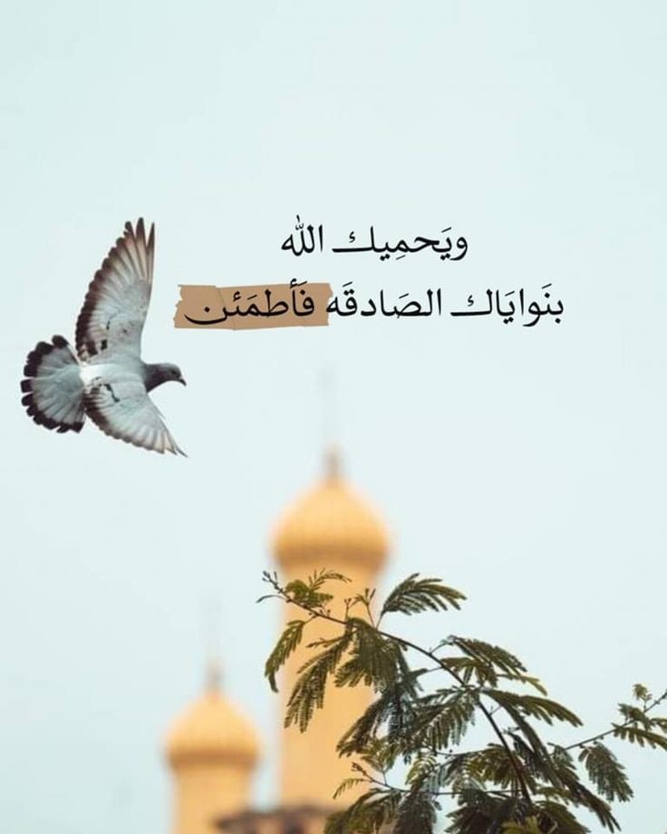 فأطمَئن🤎..