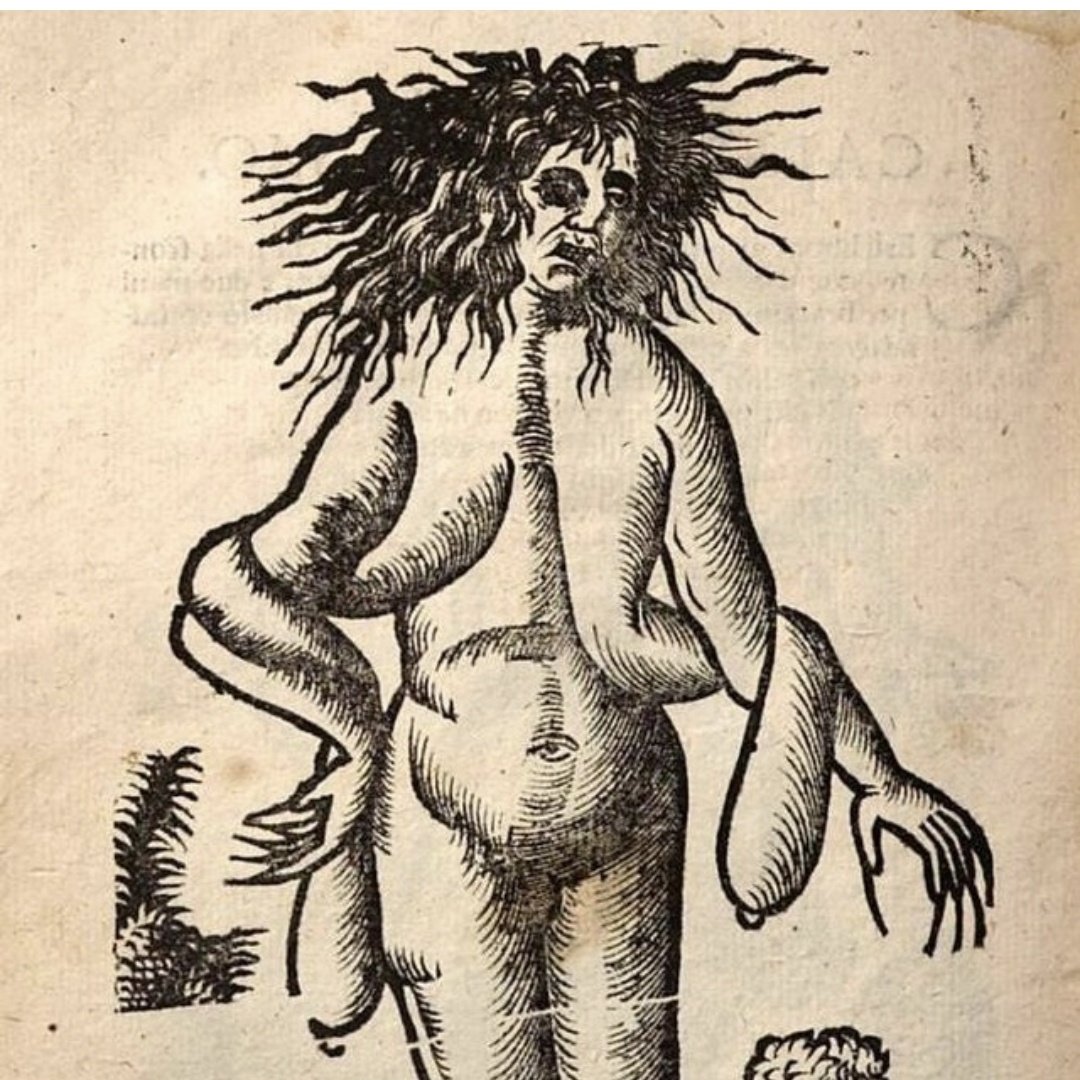 june lewins tweet media