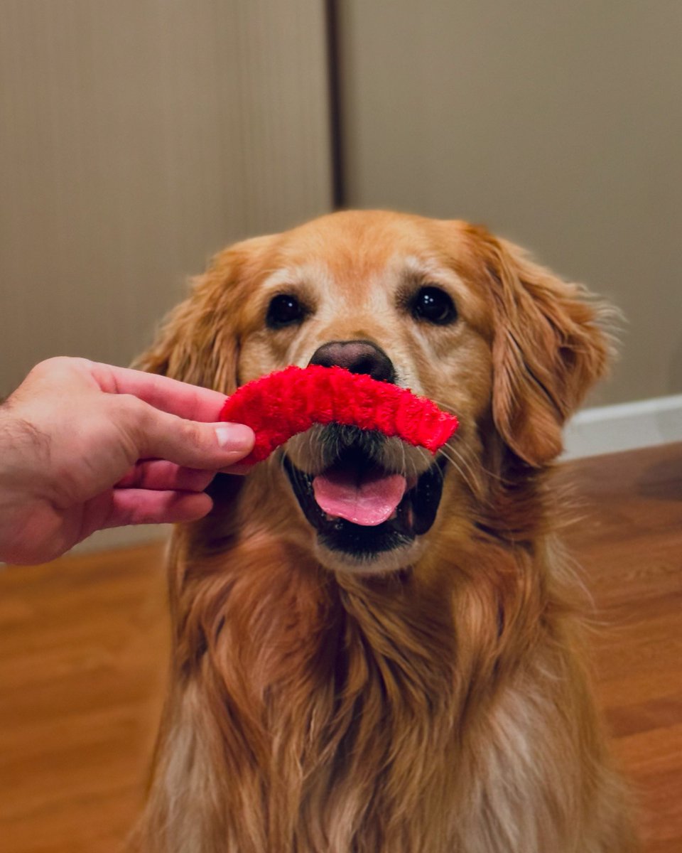 I mustache you a question, but I’ll shave it for later 🥸