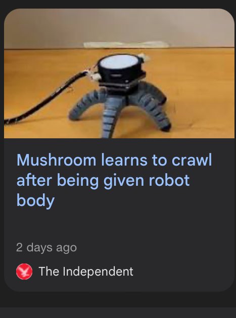 VincentKnotley's tweet image. We have real world Ork Deff Dreads.
#WarhammerCommunity