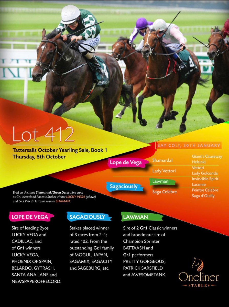 gerard lowry tweet media