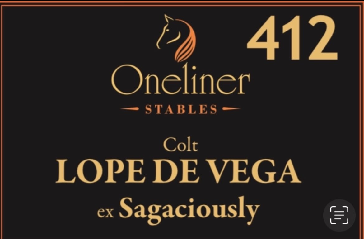 gerard lowry tweet media