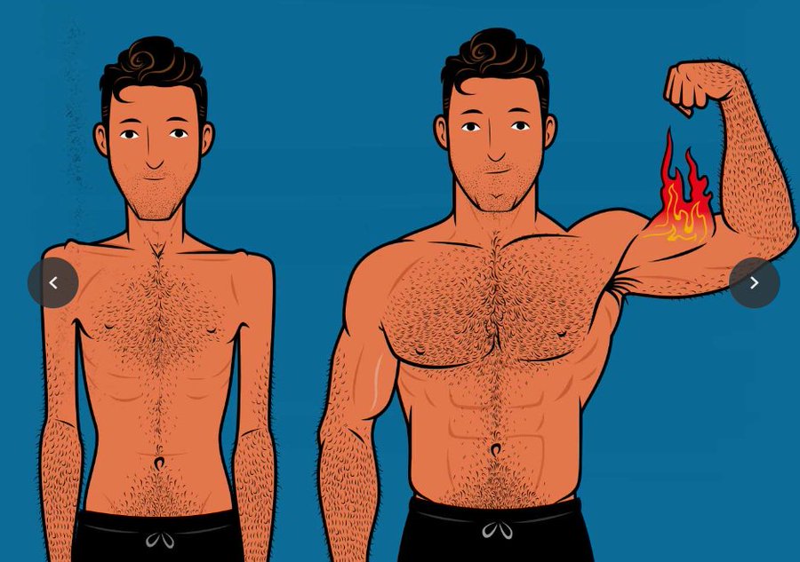 carlos_muscul's tweet image. DEJA de hacer complejos tus entrenamientos.  

Ejercicios Simples = Resultados MASIVOS  

Aquí están los únicos 10 ejercicios que necesitas para ganar músculo rápidamente:  

🧵THREAD