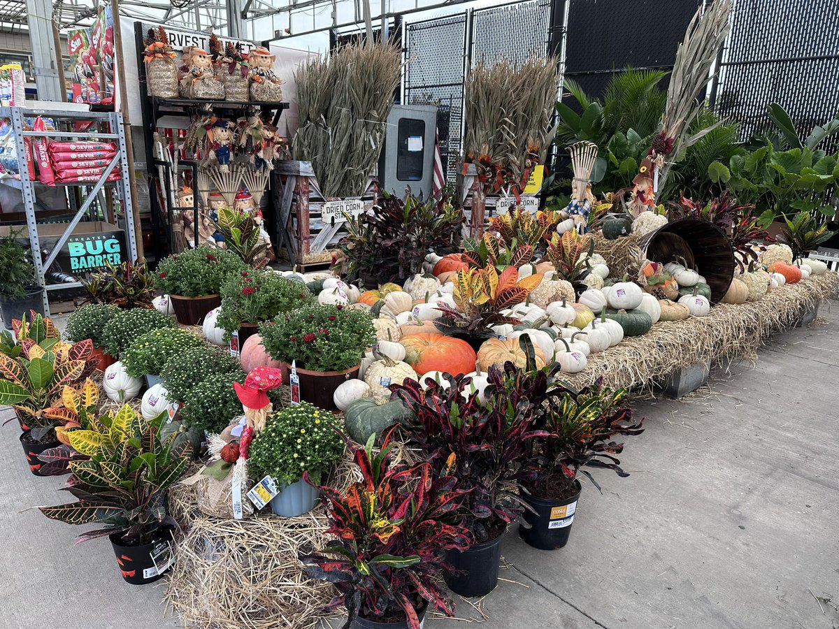 Are you ready for the seasons to change? We are at 631 come on down. <a href="/DCT0813MD/">Dante Thomas</a> <a href="/BenitoKomadina/">Benito.Komadina@Lowes</a> <a href="/BlueBoxR1/">@BlueBoxR1</a>