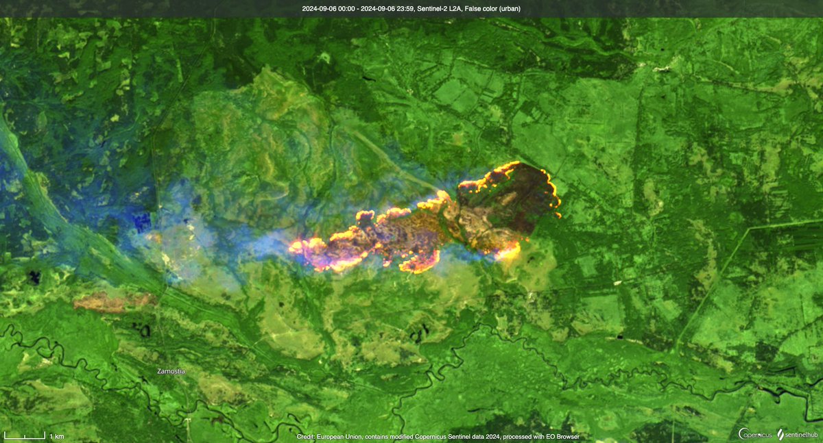 SaveEcoBot (@saveecobot) on Twitter photo Fresh new satellite images were just published on <a href="/sentinel_hub/">Sentinel Hub</a>. The scale of the fires in the Chornobyl Exclusion Zone is simply unbelievable. The radiation situation in Ukraine is normal. Fresh new satellite images were just published on <a href="/sentinel_hub/">Sentinel Hub</a>. The scale of the fires in the Chornobyl Exclusion Zone is simply unbelievable. The radiation situation in Ukraine is normal.