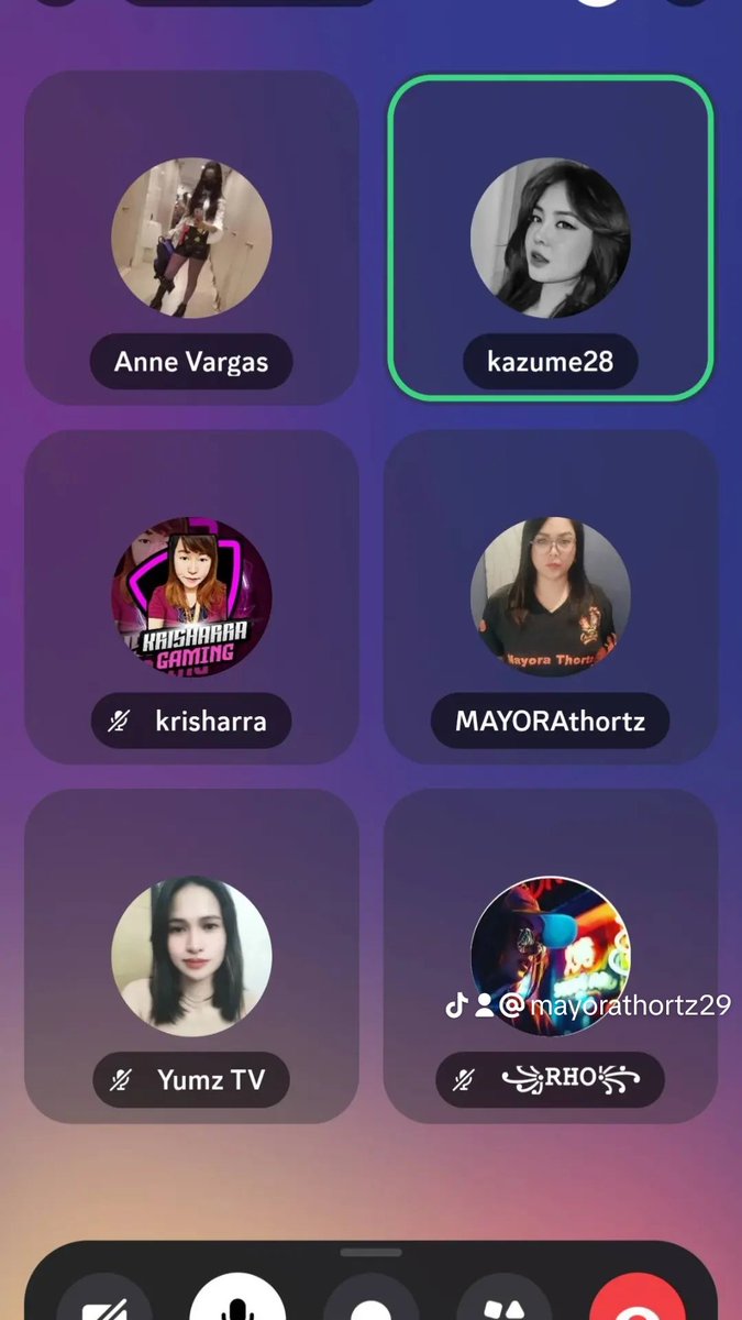 Discord meeting of Chambebots
#clashofclans #coc