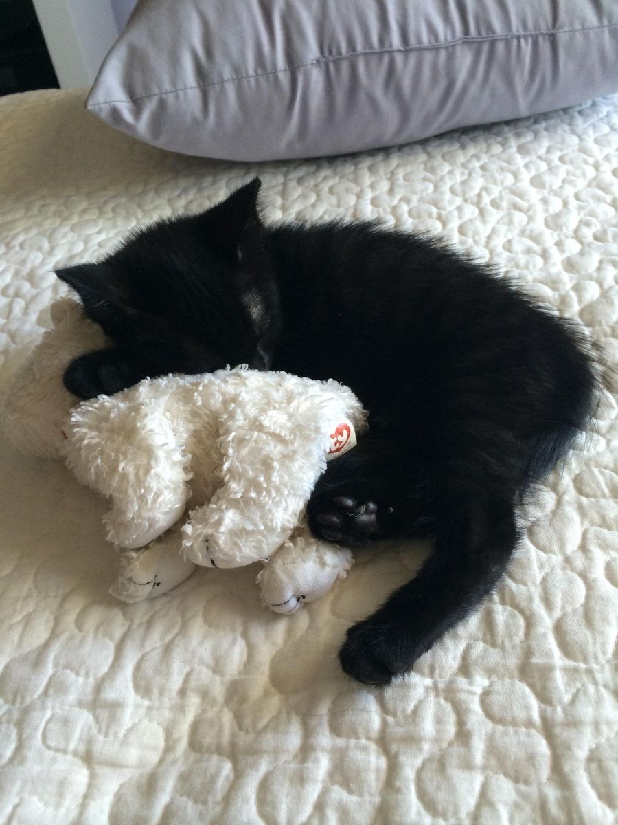 Этот кусочек тьмы пробрался прямо мне в сердце.