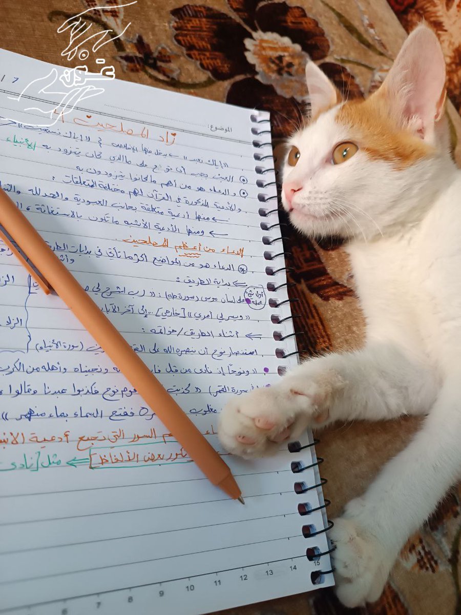 dlallwdt's tweet photo. زاد المصلحين٤ (الدعاء)
للشيح أحمدالسيد 

#فريق_عون
#المسابقة_الكبرى
#ترياق_الإيمان 
#بعون_الله_ثم_الرفاق_نبلغ_الآفاق https://t.co/jQpg3LjcNl