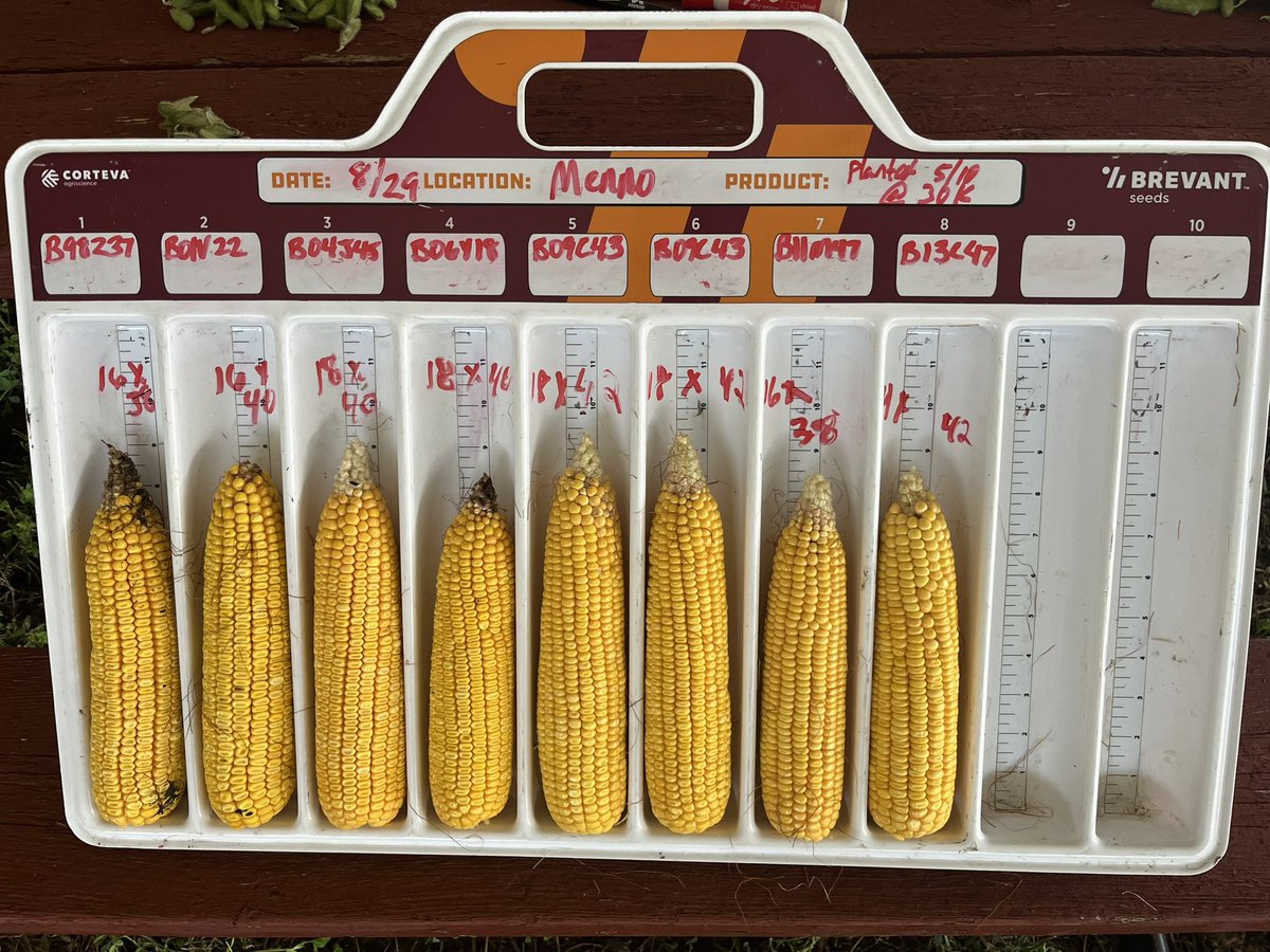 Full lineup of <a href="/BrevantseedsUS/">Brevant seeds U.S.</a> hybrids at a retail plot near Menno,SD. Pretty exciting to add this many options to retail’s multi-brand seed offering!