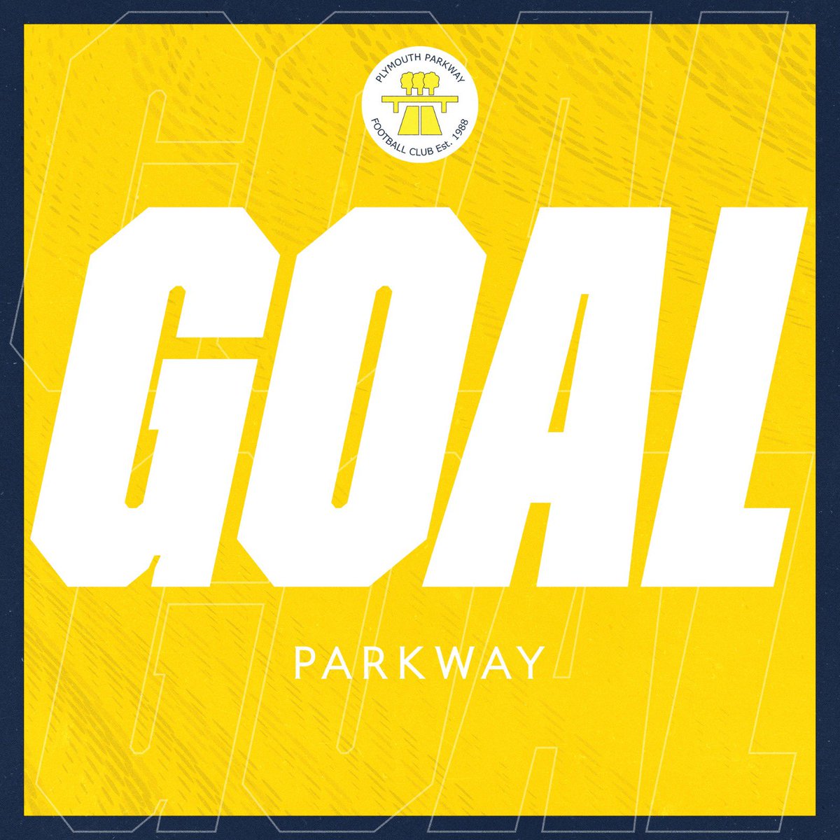 Plymouth Parkway FC tweet media