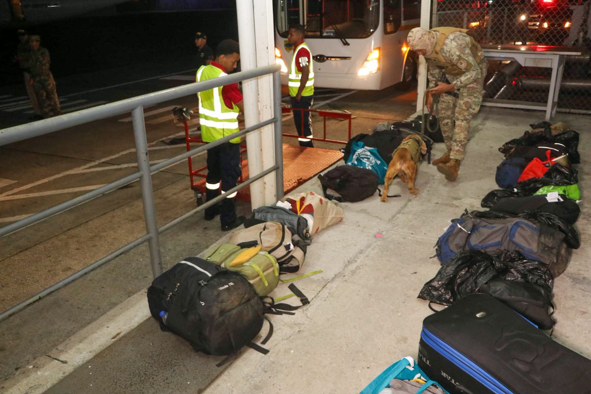 Por infringir la norma migratoria panameña, 29 ciudadanos colombianos fueron deportados   este sábado 7 de septiembre.
Este es el séptimo vuelo que se realiza como parte del memorándum  firmado entre Panamá y EE.UU. <a href="/USEmbPAN/">U.S. Embassy Panama</a>