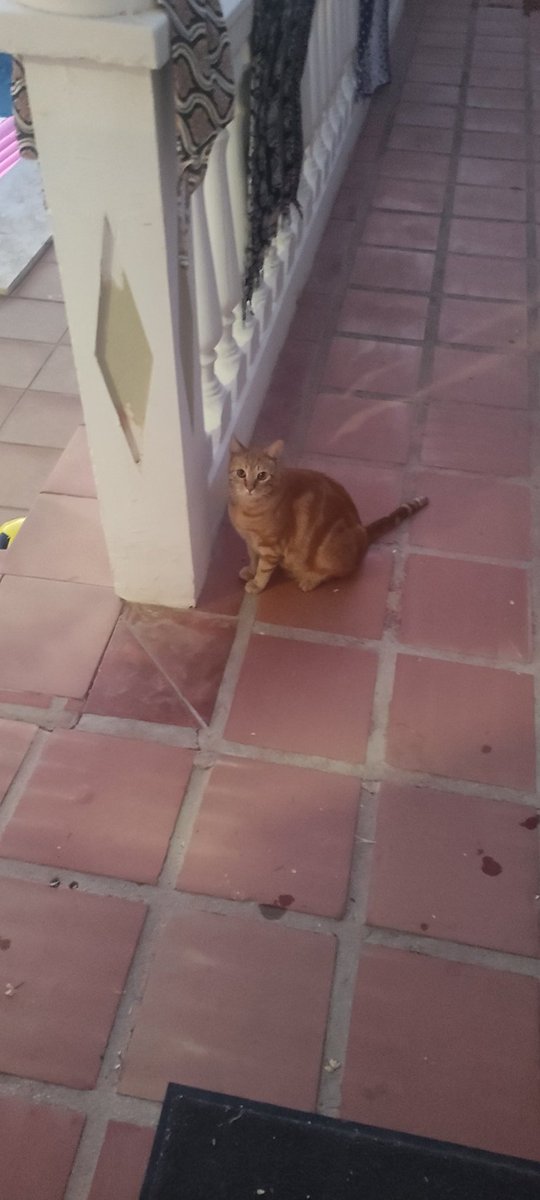 Boldmorg tweet media