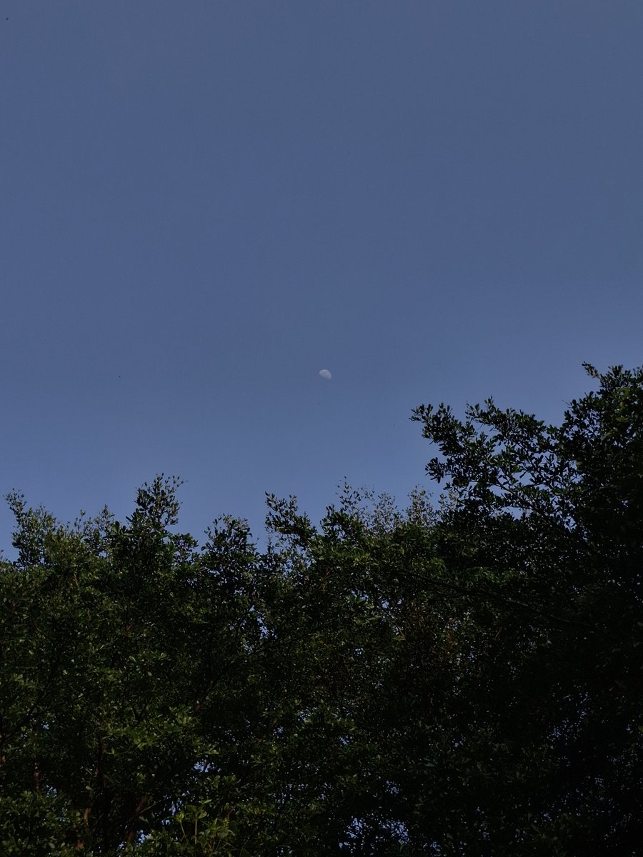 零度星 tweet media