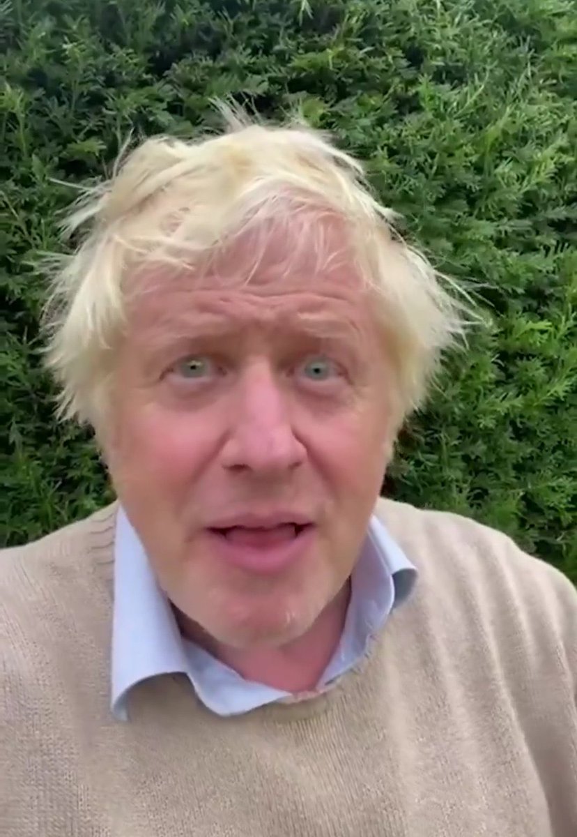 Nick_Pettigrew's tweet image. I’ve always said that had he been born on a subsistence farm in Suffolk rather than into generational privilege, he’d be the son who’s not allowed to go into town on market day and isn’t trusted to drive any of the heavy machinery.