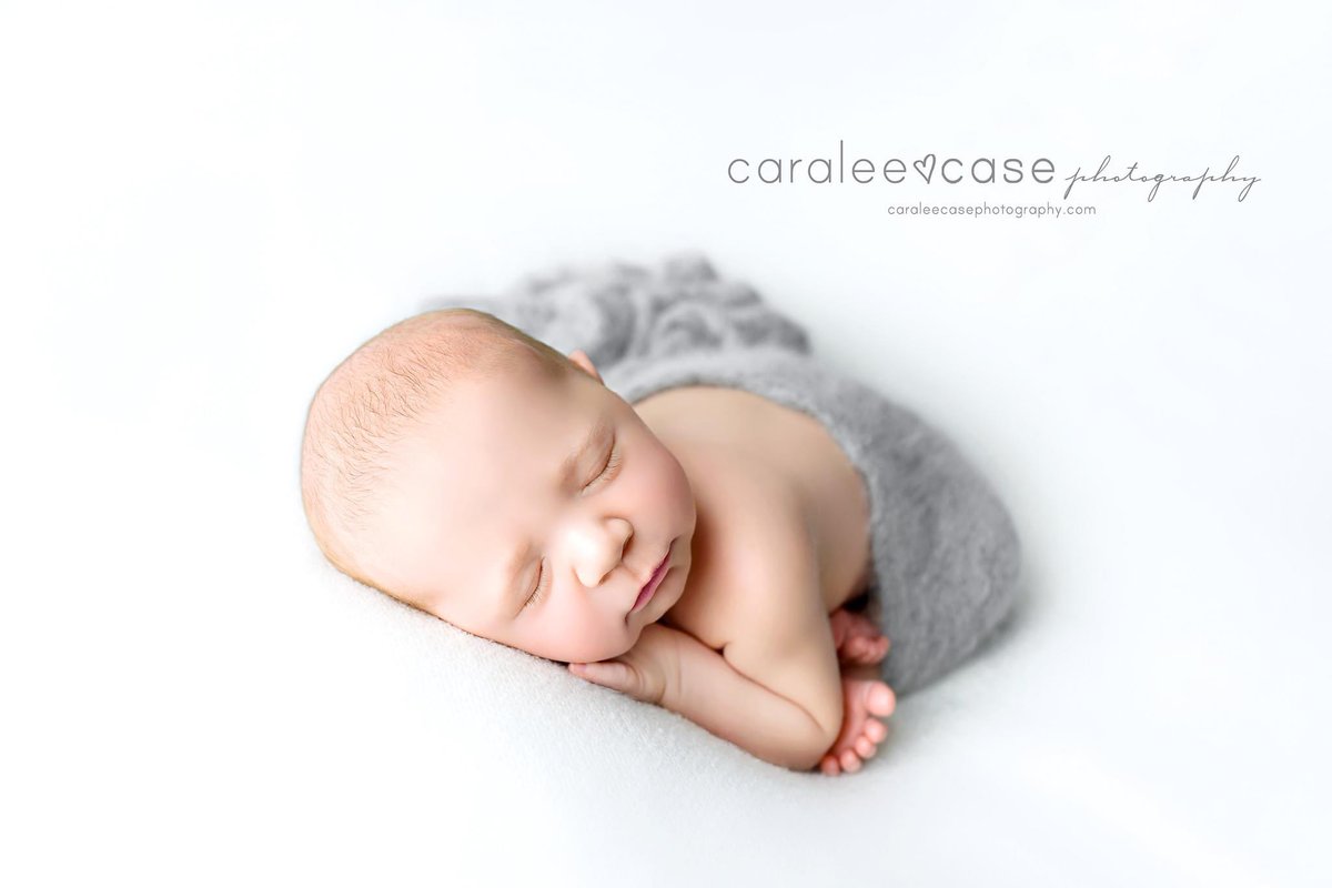 Caralee Case Photography tweet media