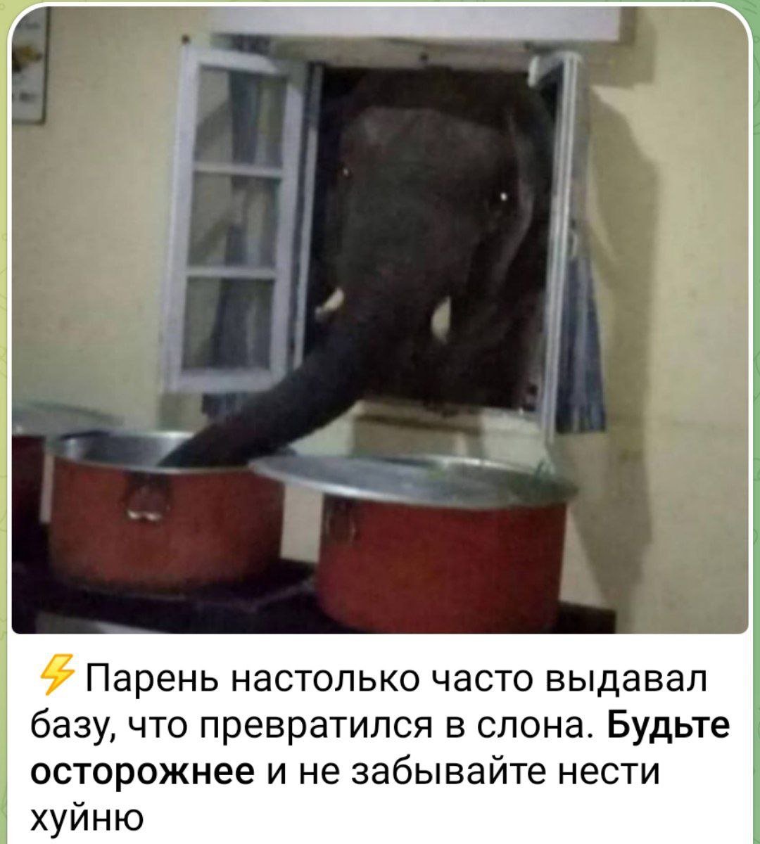 Лень придумывать нормальное имя (@boringsquid) on Twitter photo 