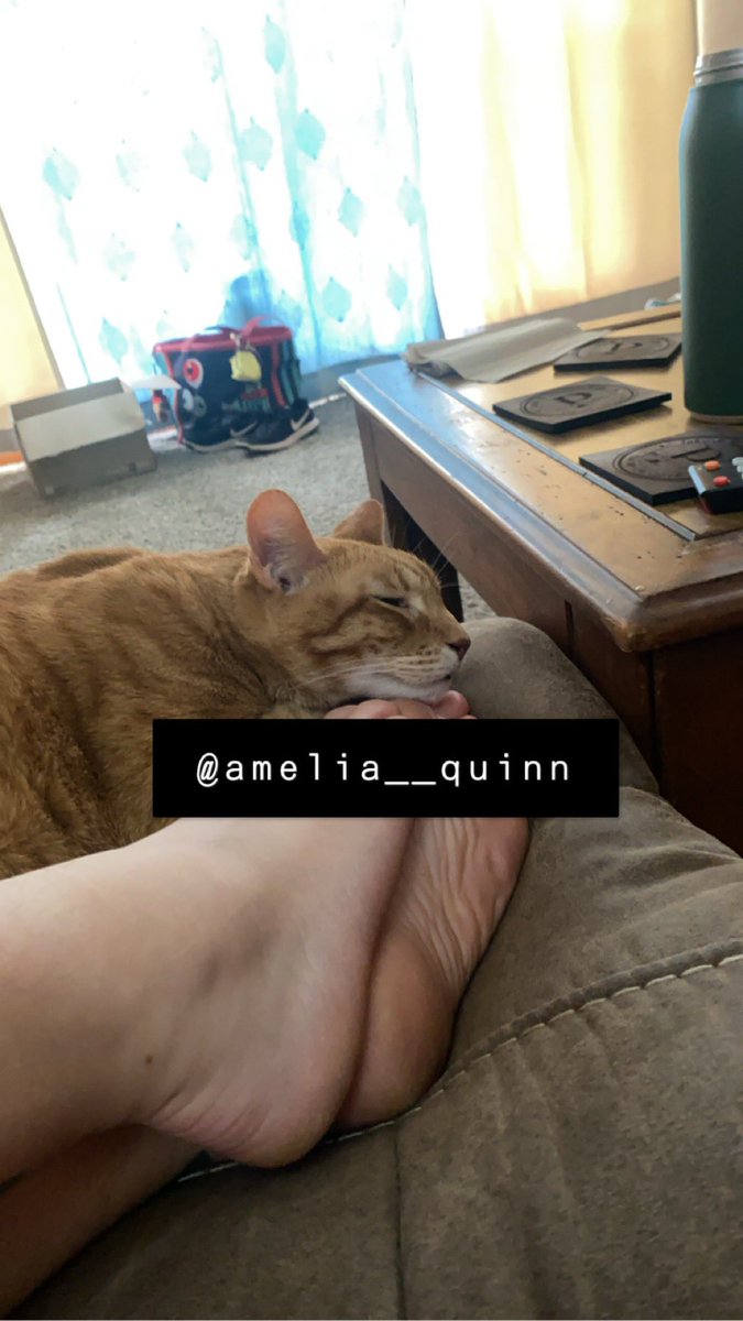 Content from amelia__quinn