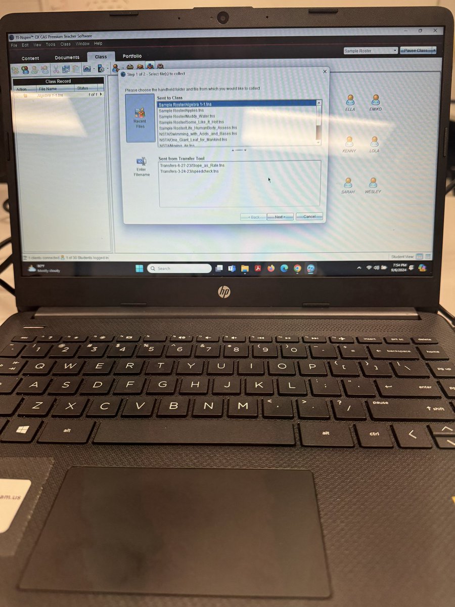 Daniela Palmer tweet media