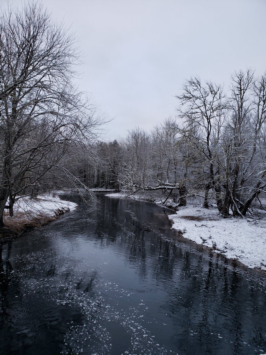 SmithNochasak's tweet image. RIVER FACES NORTH (Taggak Journey 1)
Flo appears meek, but she will sacrifice anything to see River fulfill her destiny.
Thanks to @FriesenPress and the incredible people in the #WritingCommunity who kept me going. Info and links ⬇️
acanoerofshorelines.com/river-faces-no…