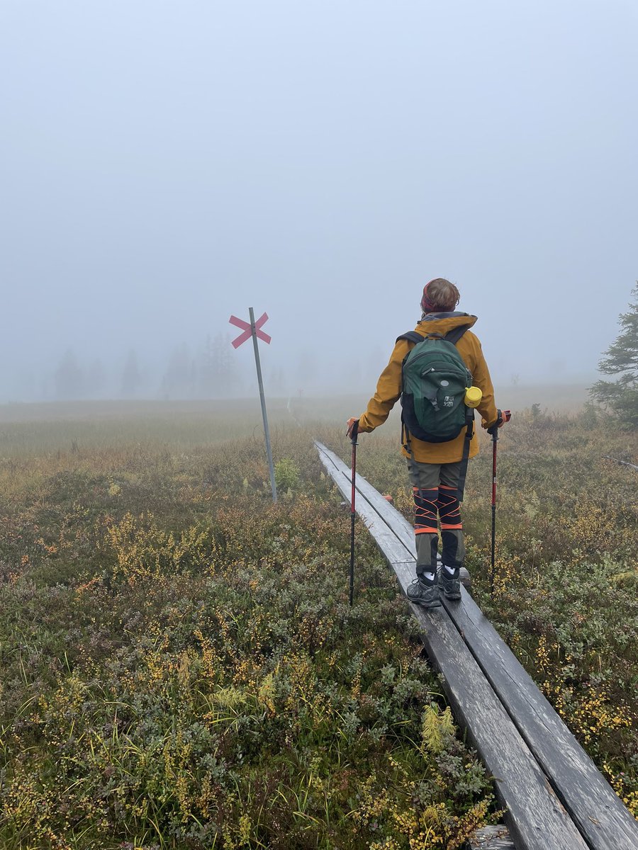 SueJaneTaylor's tweet photo. Hill walking around STF Grövelsjön Mountain station, Sweden. Fabulous week with my friend Aino Myllykangas together with her Finnish/Swedish friends.We met at Konsthögskolan/ Royal Institute of Art Stockholm where I was a student.We have been planning this for 20 years. #art https://t.co/ln4miTIJBA