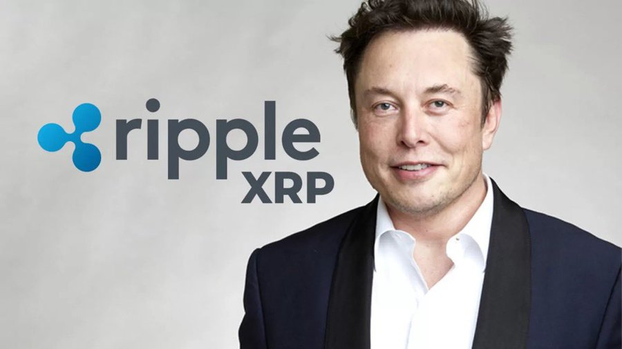 LeviRietveld's tweet photo. BREAKING: Elon Musk's X may soon start accepting $XRP as Ripple is set to pay its SEC fees shortly. https://t.co/M73BMNq03p