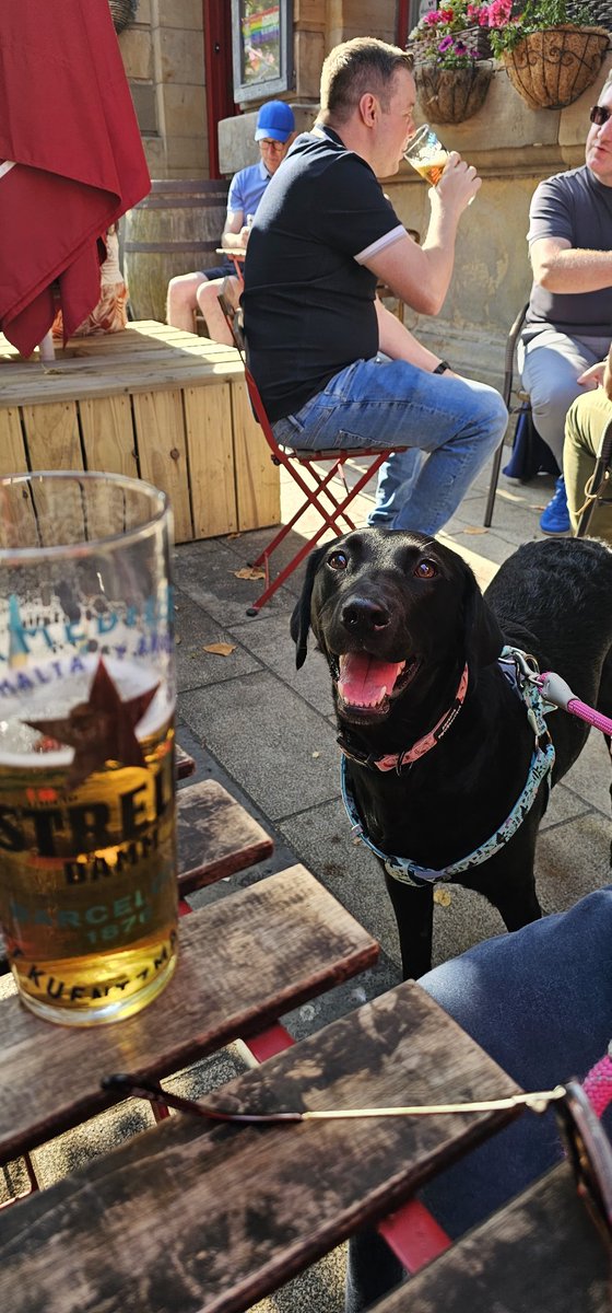fobakesbadly's tweet image. Now Joni has joined us for pups n pints #PupsNPints #Taphouse #Derry #Sunshine