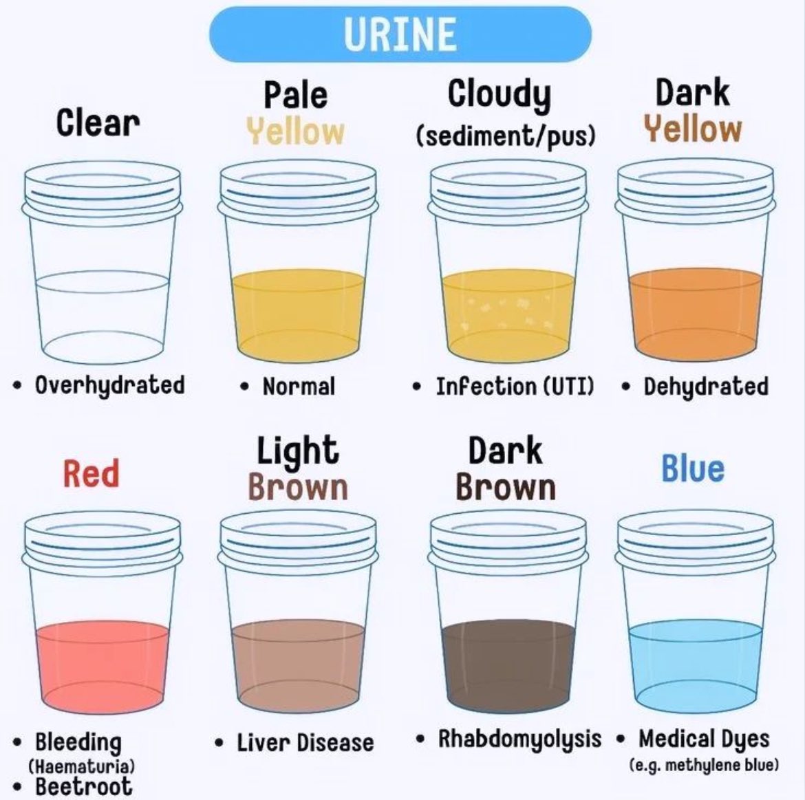 Dr Honey choudhary 🩺 tweet media