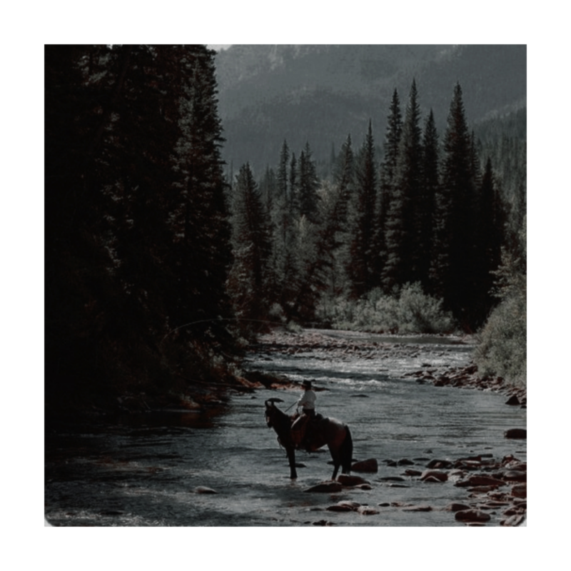 ㅤ

ㅤㅤㅤㅤ𝕽𝐀𝐄𝐋𝐘𝐍𝐍  𝕸𝐀𝐂𝐈𝐄  𝕰𝐀𝐓𝐎𝐍 ﹔
ㅤㅤㅤㅤ⸻ㅤㅤ 𝑓𝑟.ㅤ 𝓗𝒆𝒍𝒆𝒏𝒂,   𝓜𝒐𝒏𝒕𝒂𝒏𝒂
ㅤㅤㅤㅤ𝙱𝙰𝙱𝚈𝚂𝙸𝚃𝚃𝙴𝚁 𝙰𝙽𝙳 𝙵𝚄𝚃𝚄𝚁𝙴 𝚅𝙴𝚃
ㅤㅤㅤㅤ“  DON'T ANALYSE YOUR LIFE 
ㅤㅤㅤㅤMORE  THAN  YOU  LIVE  IT.  ”
ᅠ
ᅠ