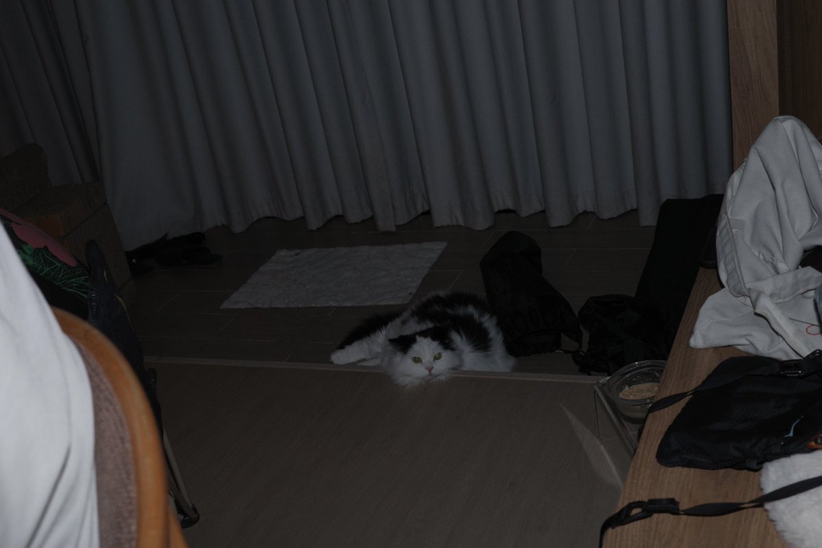 เน็ตไอ ไม่ตายแฟลช📸