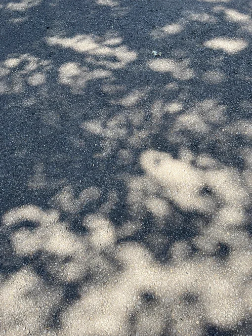 元の色左→加工して右背景と人物の加工に地面(コンクリート)の写真使ってますコンクリート超便利 