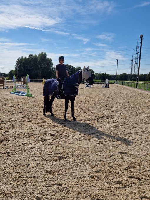 For those who fear flies... 😂