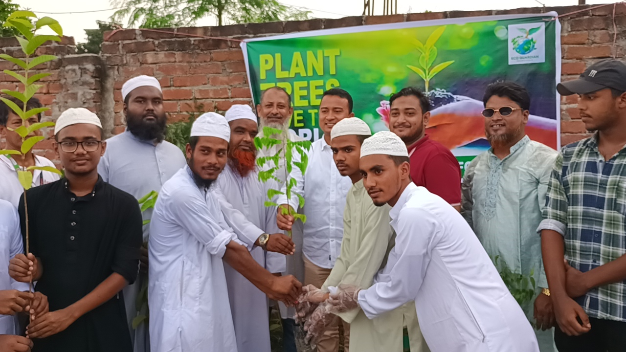 কালিয়াকৈরে ছাত্র সমাজের উদ্যোগে বৃক্ষ রোপন