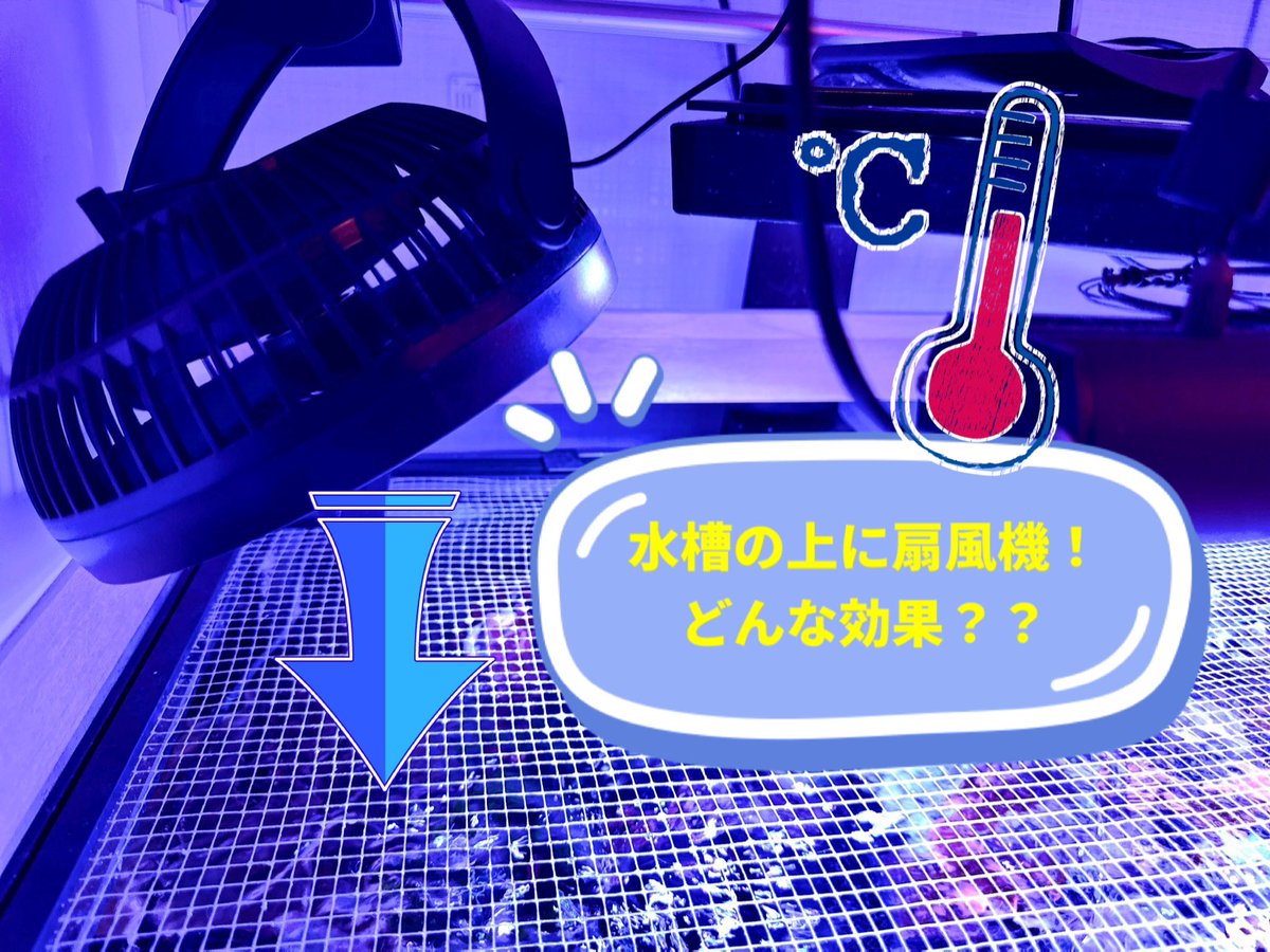 YuukichiSMarine's tweet photo. ピークは超えましたが、まだまだ暑い日が続きます。
皆さんは、夏の水温管理、どんな工夫されてますか？💡24時間、空調管理の人が羨ましい😂笑

【後編】最大の試練？…夏の水温管理【扇風機】【海水水槽】
https://t.co/GQLeqSZoYF https://t.co/XT1yNillr2
