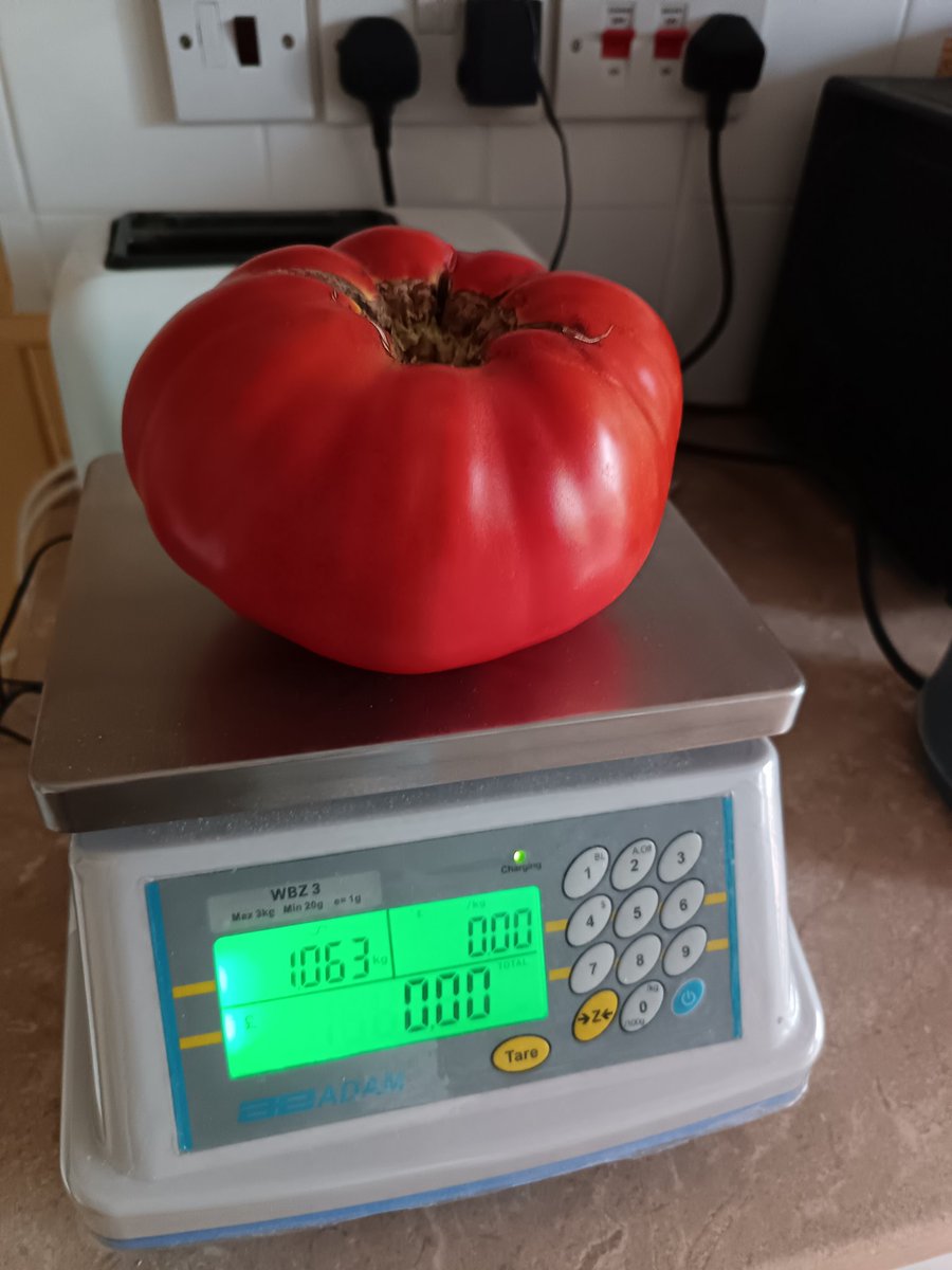 My epic tomato: