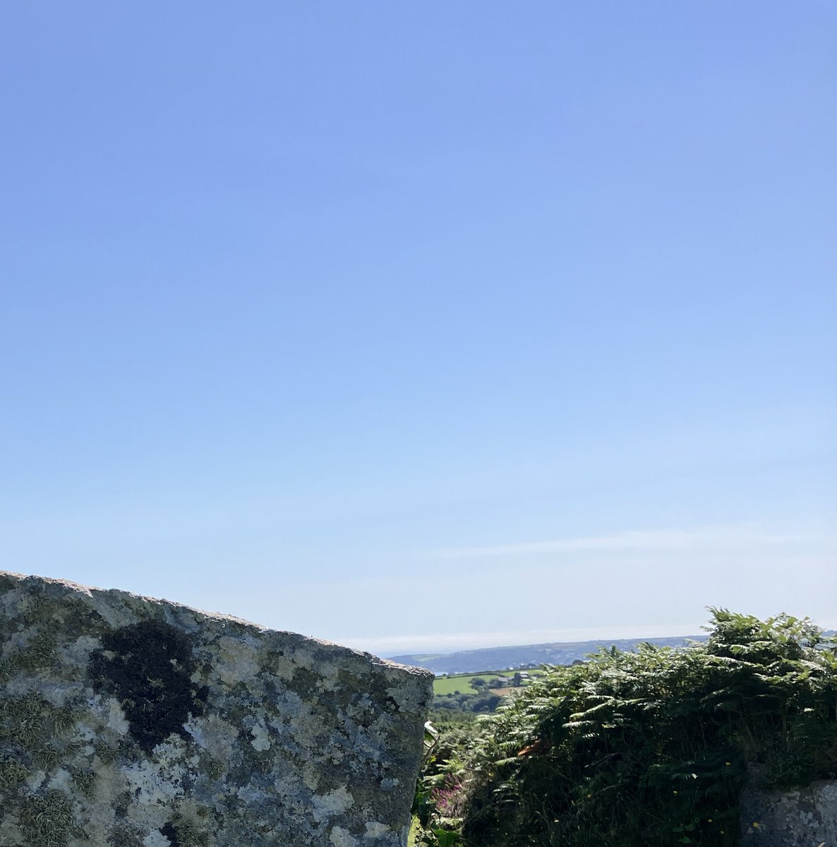 Daniel Sturgis (@danielsturgis10) on Twitter photo 