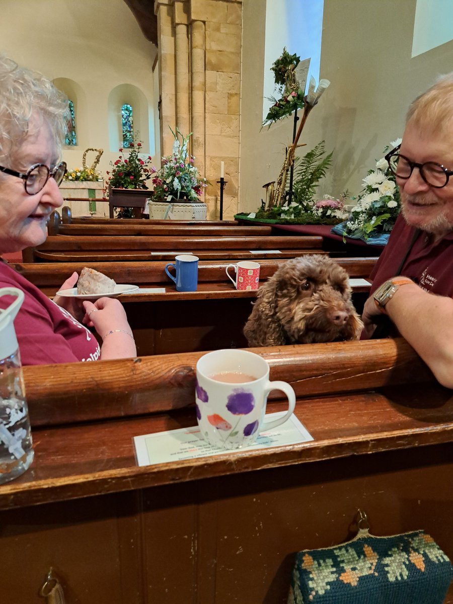 yorkshirejune's tweet photo. @Hearingdogpuppy /Ambassador Pasha, his pals @HearingDogs in training Viv and Sound support Grace thoroughly enjoyed their visit to #Fangfest today.They practised sitting quietly for photos with the HD teddy bears, in the church and with one of our young supporters Sophia. https://t.co/kBr1fVS0kf