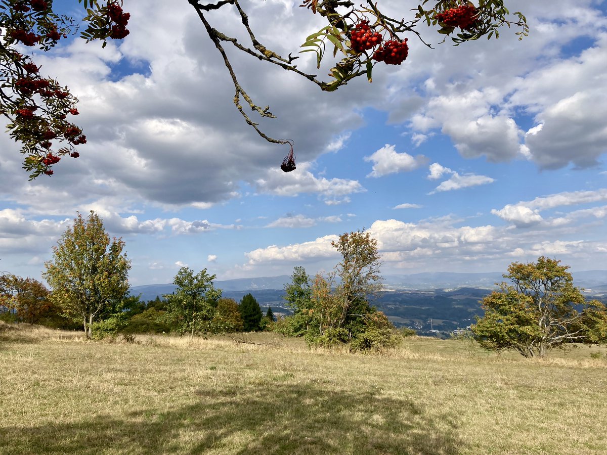 ludek_svoboda's tweet photo. poslední horké dny #Kozakov #ceskyraj #trailrunning https://t.co/BQhKVY0ga6