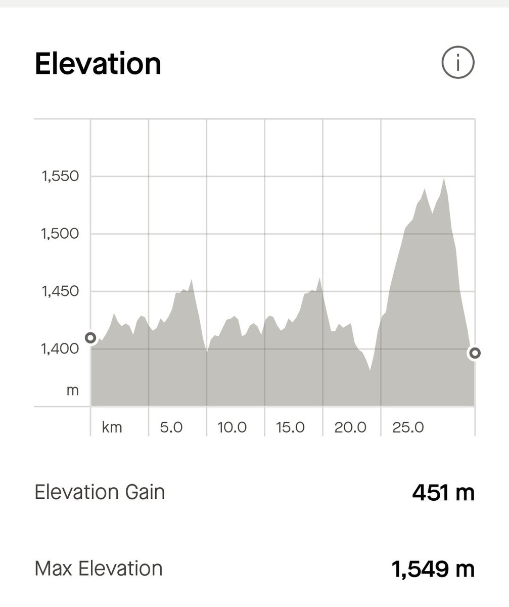 King Tsholo tweet media