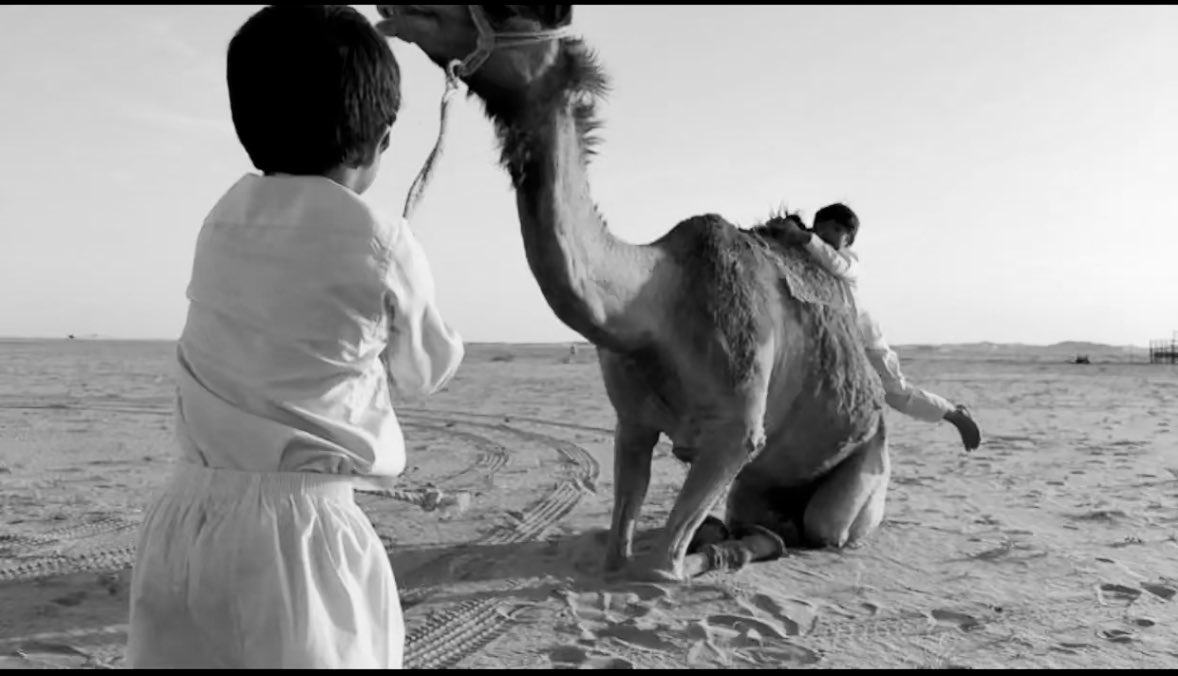 Qhta10ni's tweet photo. يعيش الشجاع ويربط اسمه بسبع انعام
     ولا يتّخذ من دون الامجاد تدويره https://t.co/xOfEjlflg7