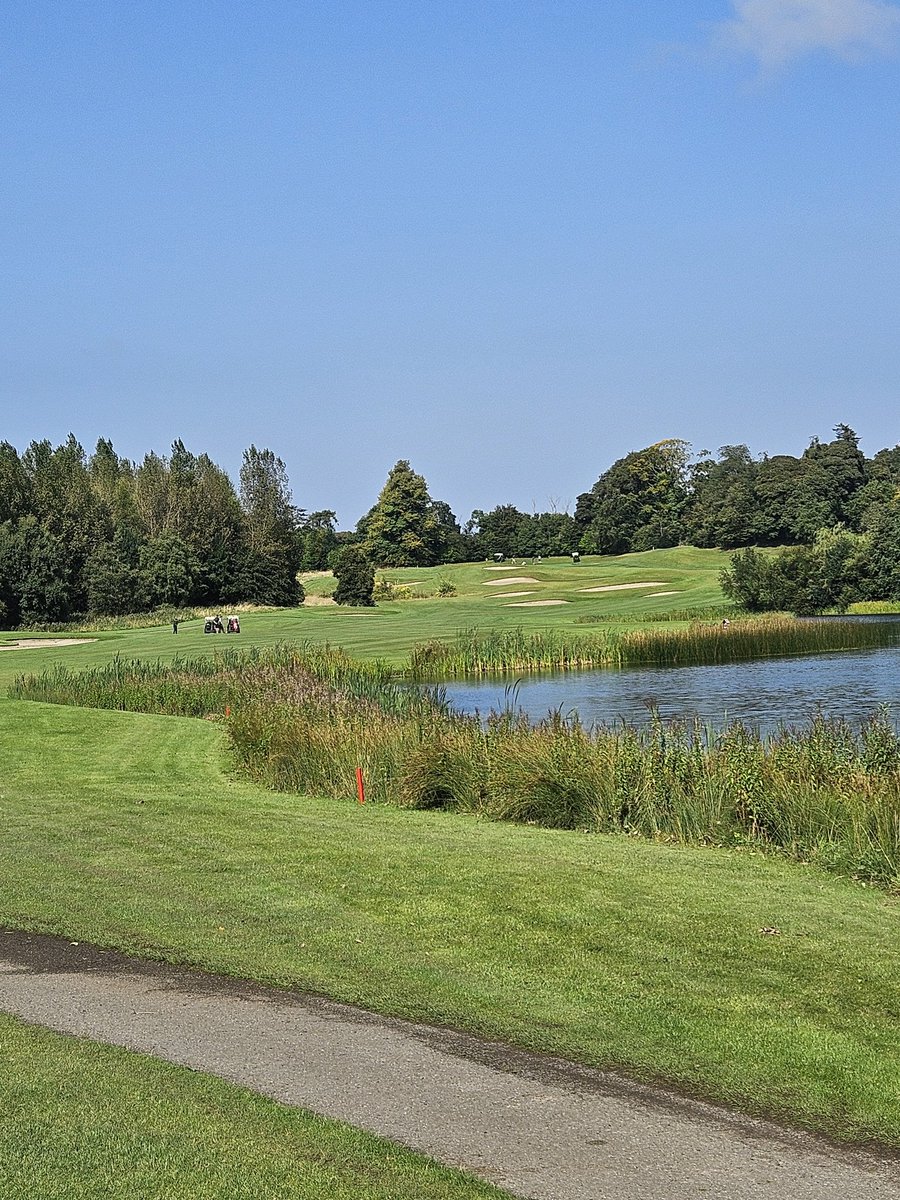 Offaly Association Dublin tweet media