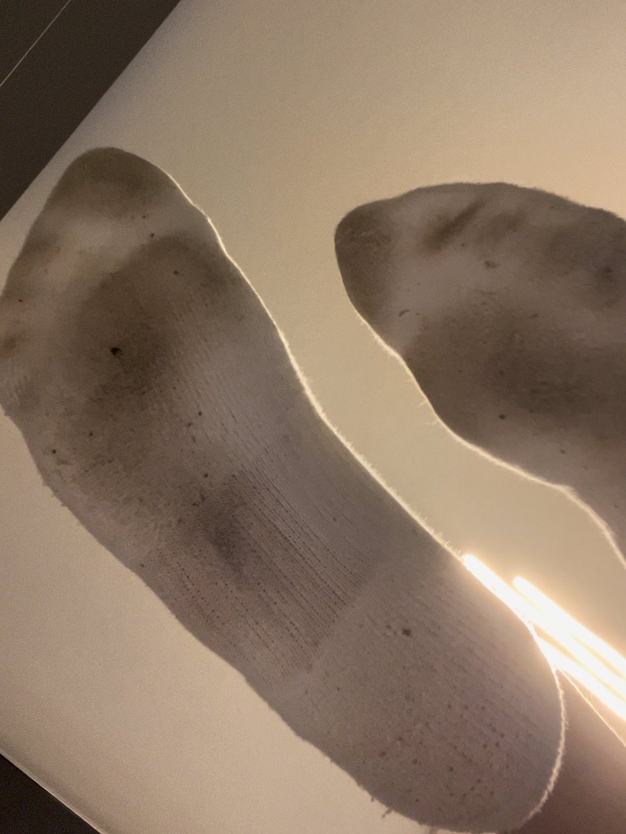 MasterDani4219's tweet photo. Na welche fotze will mein Paypal auffüllen
Ich weiß ich wie sehr du kleine Gay Schwuchtel an meinen socks sniffen willst

#master #loser #opfer #zahlsklave #zahlfotze #zahlschwein #findom #füße https://t.co/A5o65YSiOR