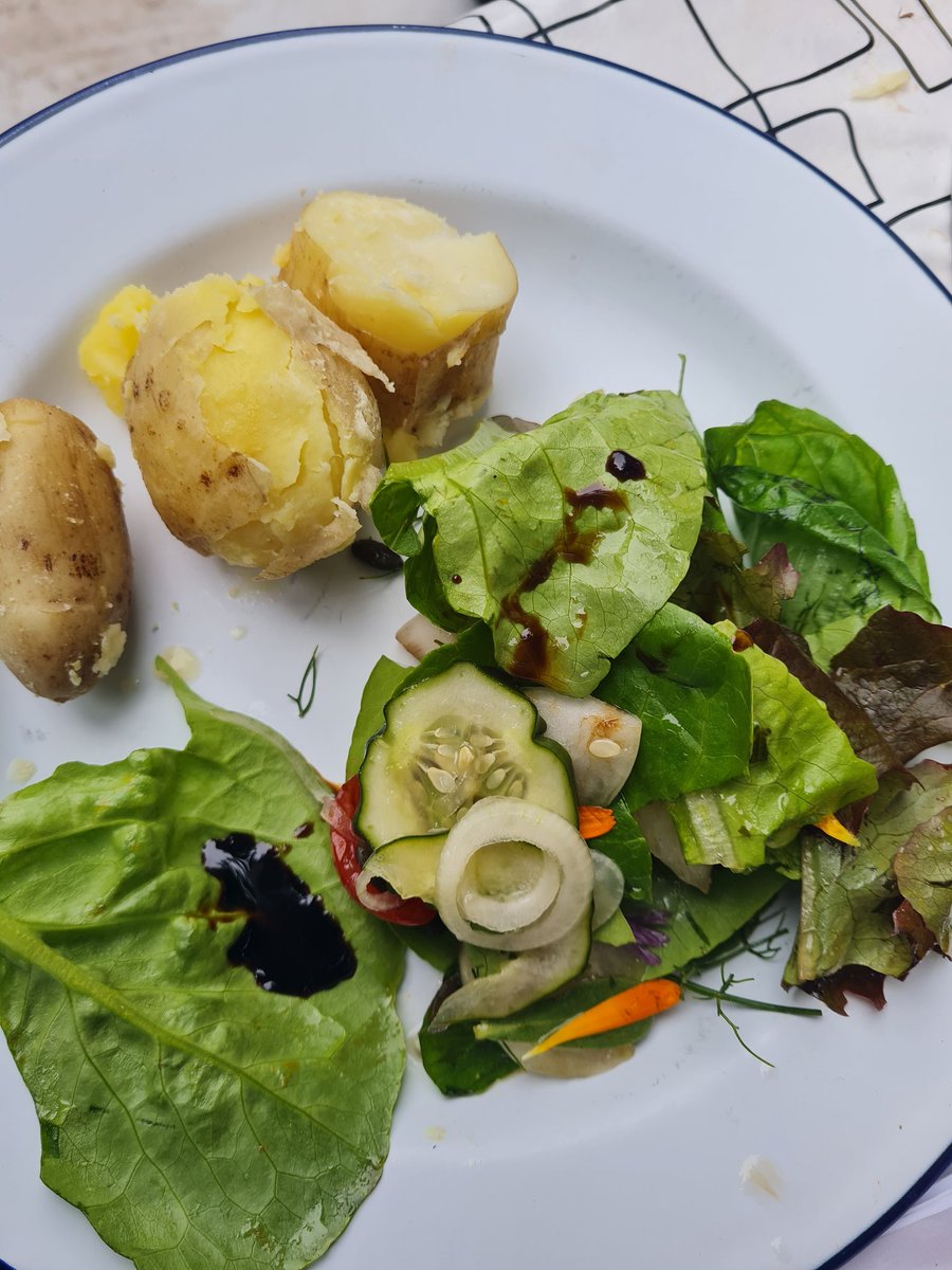 Togher Community Garden tweet media