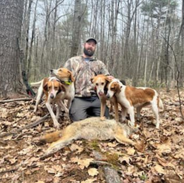 NHCART's tweet photo. Four hounds relentlessly pursuing, a man with a high powered weapon, and a lone scared #coyote. Is this supposed to be fair chase hunting? This relentless slaughter of natural predators needs to end!
#EndPredatorPersecution #BanHounding #ProtectWildlife https://t.co/fx1VZyBI4v
