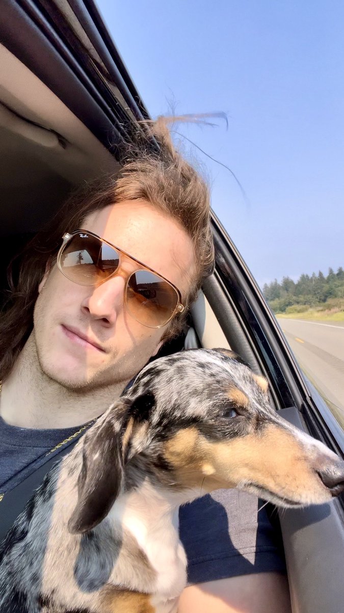 DachshundWizard 🧙‍♂️ tweet media