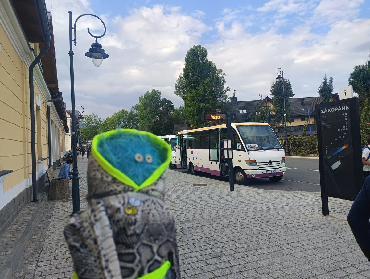 LeonFettel's tweet photo. Było dziś kilka kilometrów w górę ⬆️⛰️, a potem kilka kilometrów w dół ⛰️⤵️. 
A większość czasu spędziłem w bezpiecznej kieszeni plecaka 😁#Kasprowy #LeonWpodróży #wTęInazad #Tatry #GiryMnieBolą https://t.co/bCQZBLyiPe