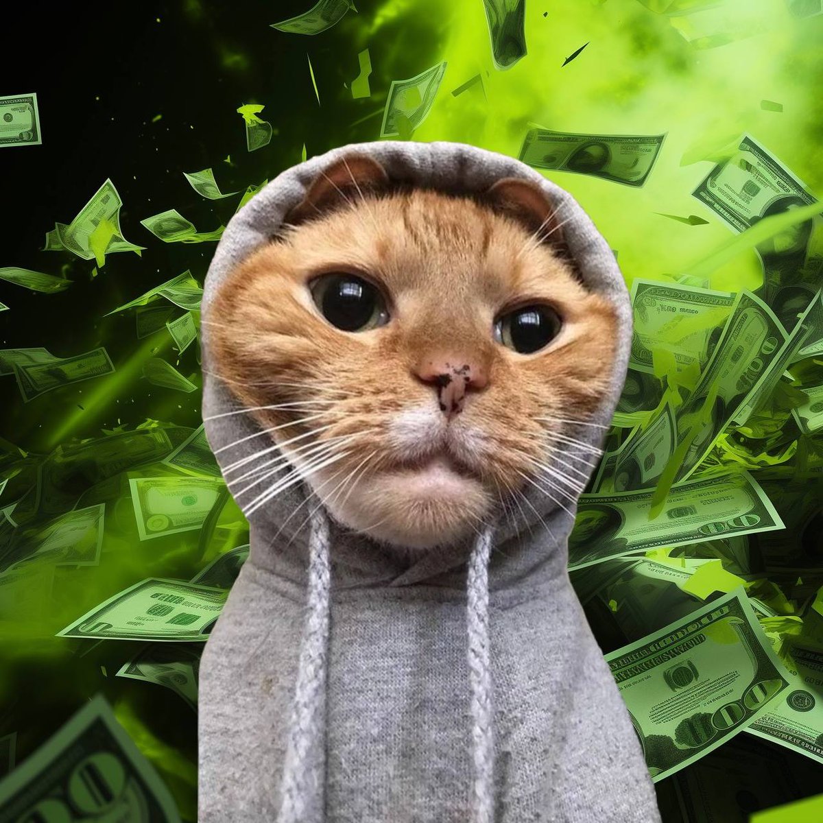 c6inbase's tweet image. AB its hoodie szn.

C5rowBCAy7enDgUUJithgzy8LpJQWQtPJotLQPxuKGTC