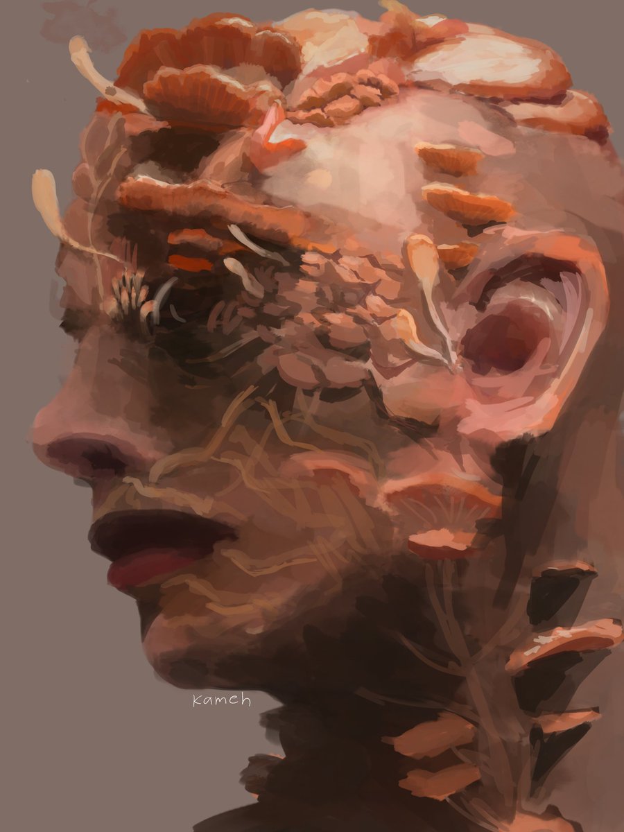 Cordyceps head (an attempt before my hand felt like death)